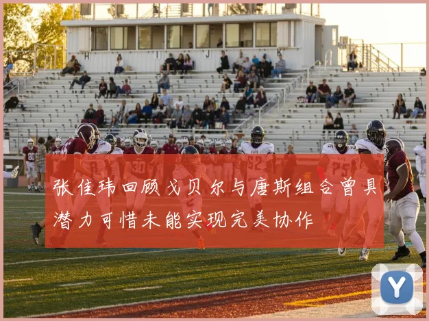 张佳玮回顾戈贝尔与唐斯组合曾具潜力可惜未能实现完美协作